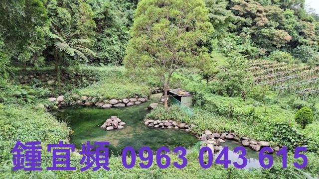 三灣農地_山坡地-5