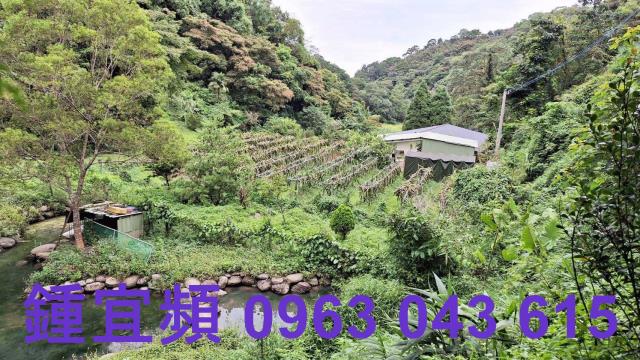 三灣農地_山坡地-6