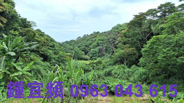 三灣農地_山坡地-7
