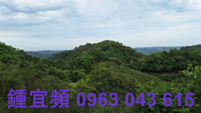 三灣農地_山坡地-9