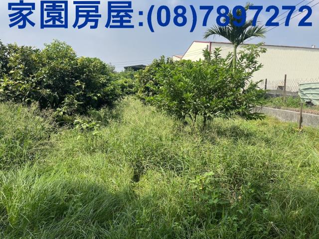 萬丹農地_休閒地-2