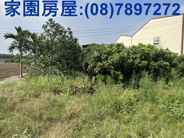 萬丹農地_休閒地-3