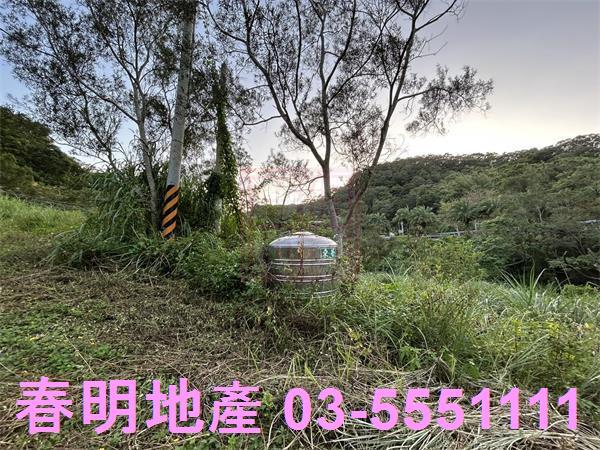 新竹竹東農地_山坡地-1