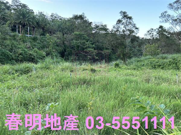 新竹竹東農地_山坡地-4