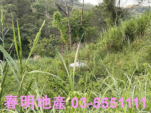 新竹竹東農地_山坡地-5