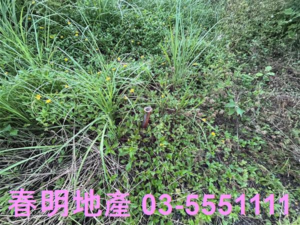 新竹竹東農地_山坡地-6