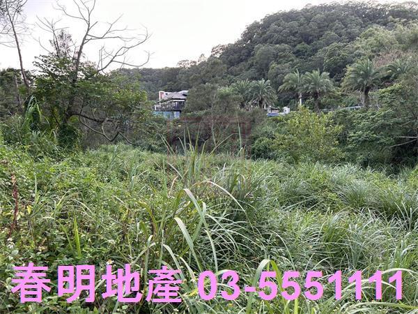 新竹竹東農地_山坡地-7