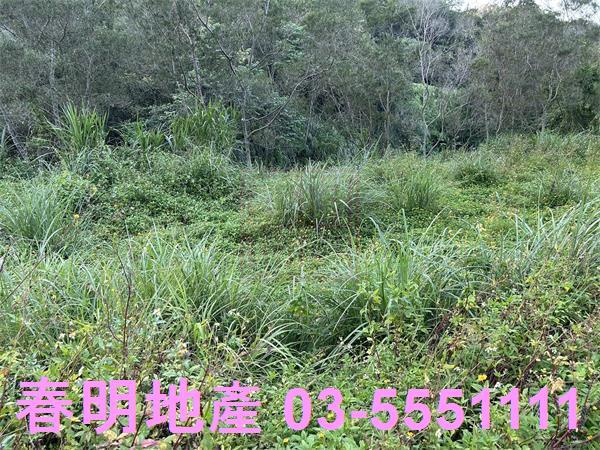 新竹竹東農地_山坡地-8