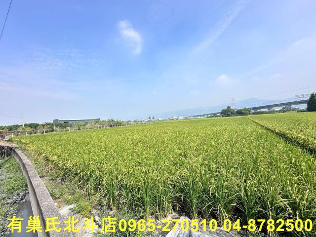 彰化社頭農地-1
