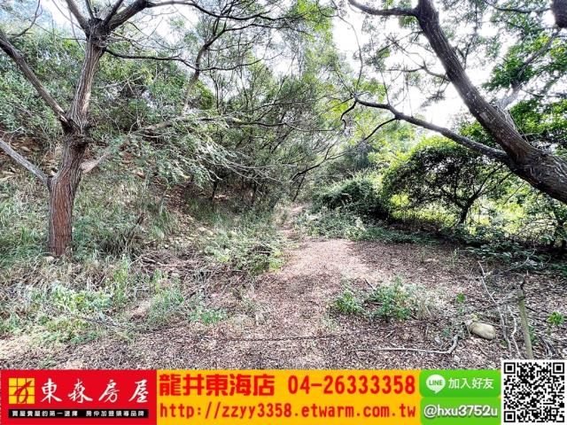 清水休閒地_旱-8