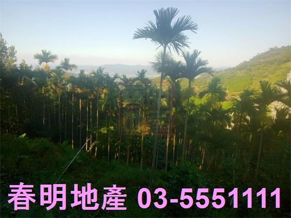 北埔農地_建地_林地-11