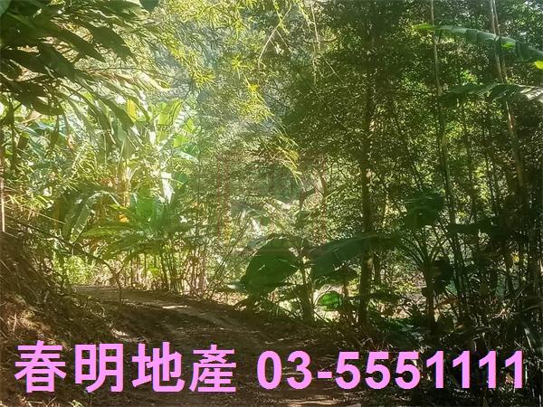 北埔農地_建地_林地-1