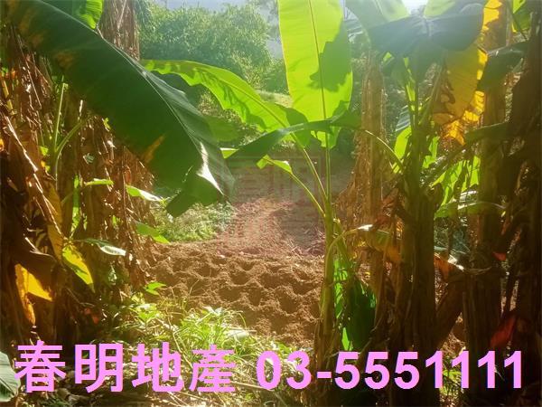北埔農地_建地_林地-4