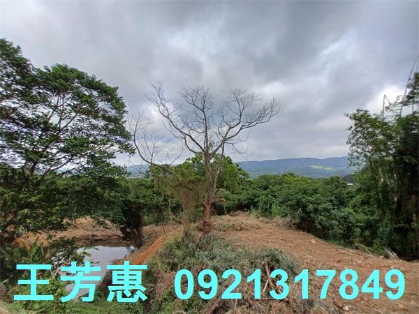 苗栗農地-10