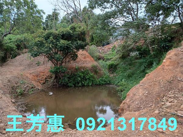 苗栗農地-11