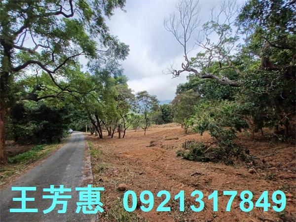 苗栗農地-8