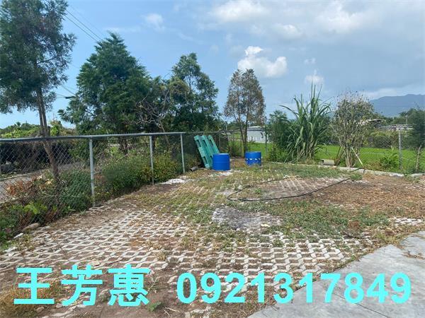 台中外埔農地-3