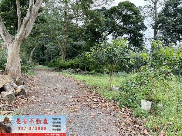 苗栗公館農地_山坡地-4