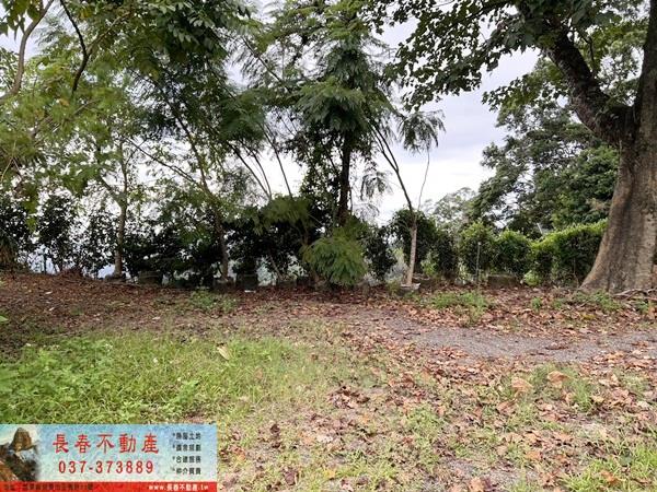 苗栗公館農地_山坡地-6