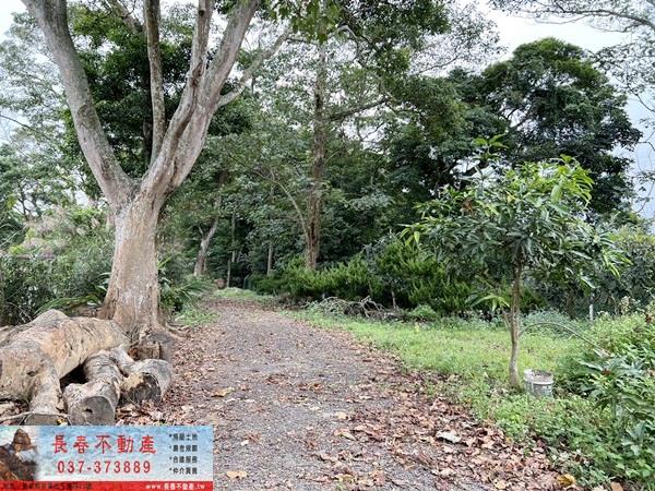 苗栗公館農地_山坡地-7