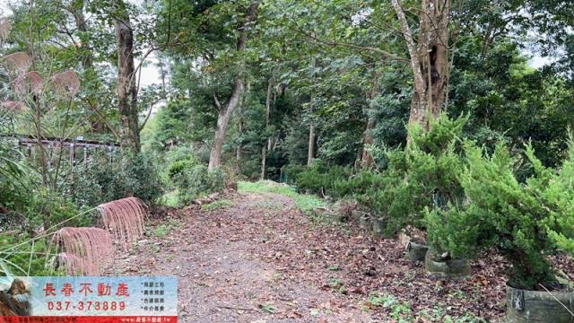 苗栗公館農地_山坡地-8