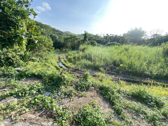 名間農地_休閒地-2
