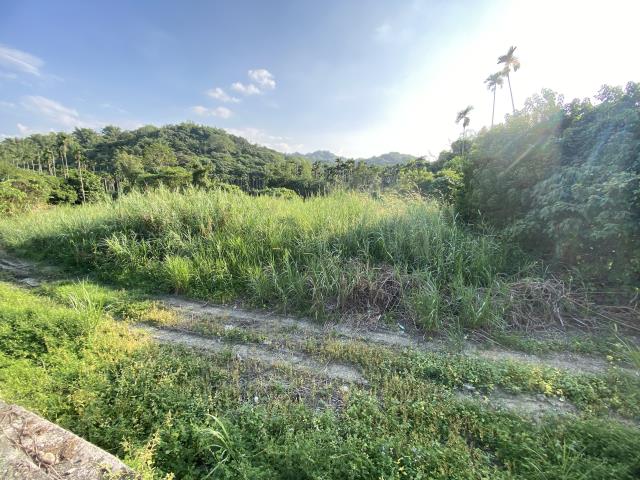 名間農地_休閒地-4