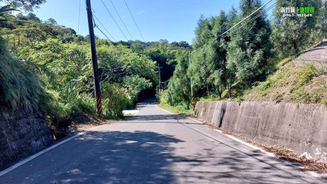 北埔農地_山坡地_林地-15