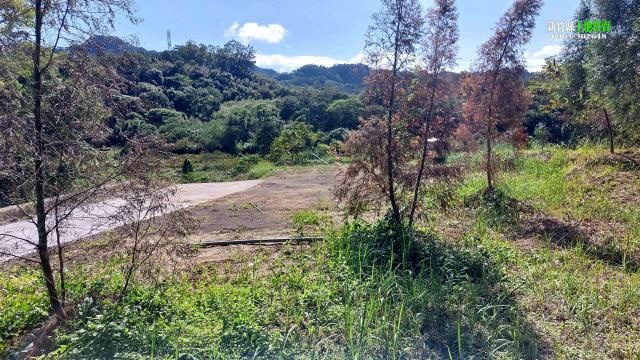北埔農地_山坡地_林地-3