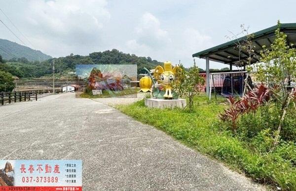 苗栗大湖農地_建地_休閒地-4
