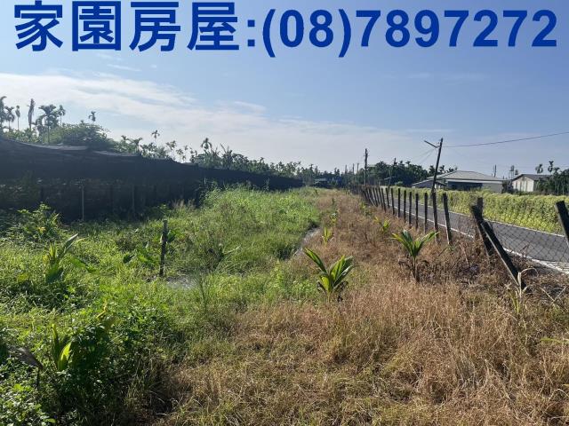 屏東竹田農地-3