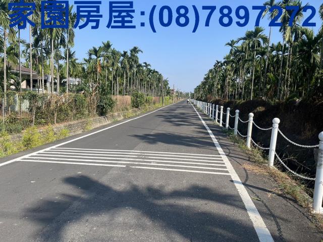 屏東竹田農地-4