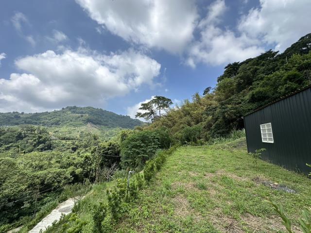 東勢農地-10