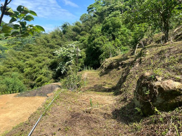 東勢農地-5