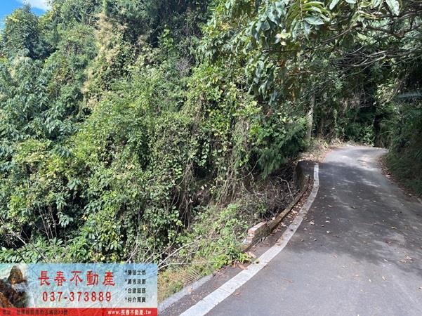 苗栗大湖農地_山坡地_休閒地-11