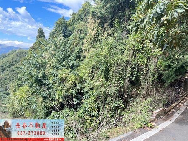 苗栗大湖農地_山坡地_休閒地-12