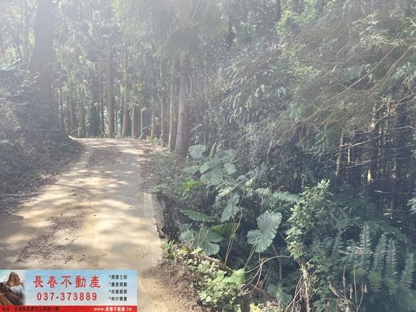 苗栗大湖農地_山坡地_休閒地-1