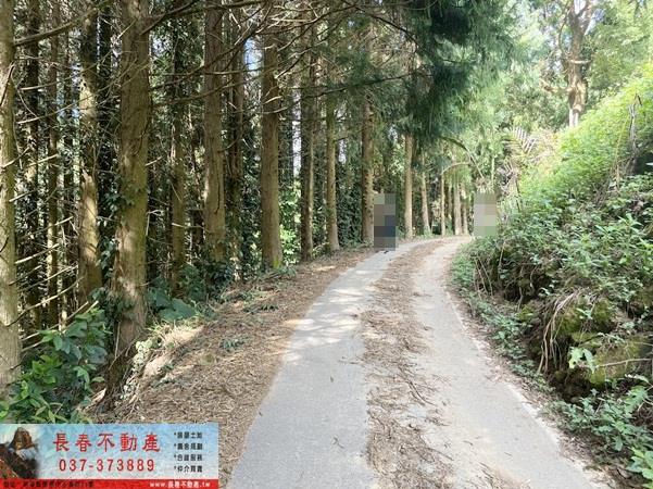苗栗大湖農地_山坡地_休閒地-2
