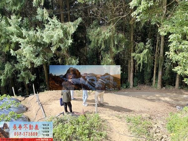 苗栗大湖農地_山坡地_休閒地-3