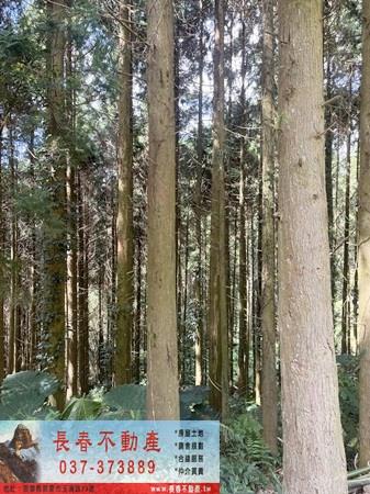 苗栗大湖農地_山坡地_休閒地-4
