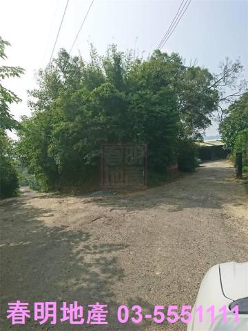 寶山農地_林地-6
