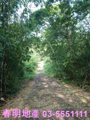 寶山農地_林地-9