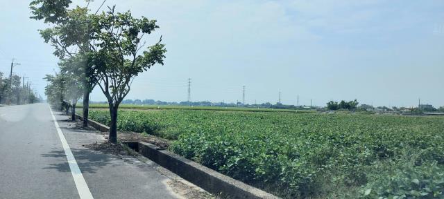 柳營大路旁150公尺農地決心要賣