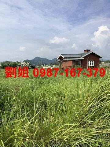 旗山農地-4
