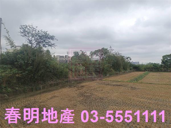 新竹農地-4