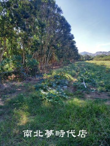台南農地-2