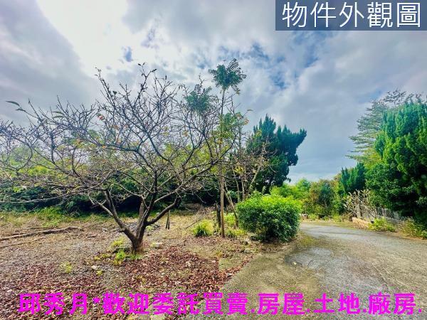 新北農地-2
