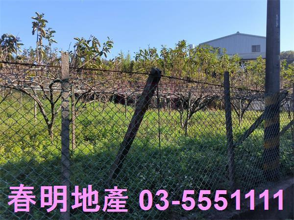 新竹新埔農地-8