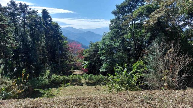 橫山農地_山坡地_休閒地-6