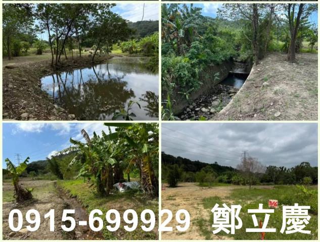 桃園龍潭農地_建地-8